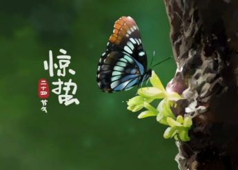 春风动春心，流目瞩山林，山林多奇彩，阳鸟吐清音