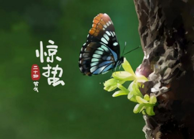 春风动春心