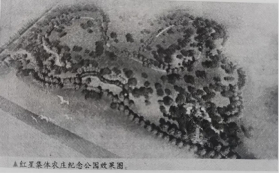 一张照片的回忆  
