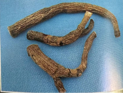 白芍     White Peony       Root